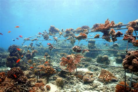 Image result for Read Current with Arduino Witouth Module