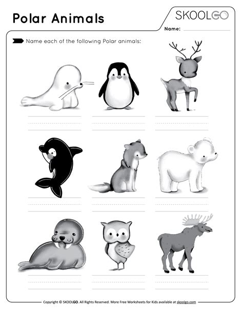 Animals Worksheet 的图像结果