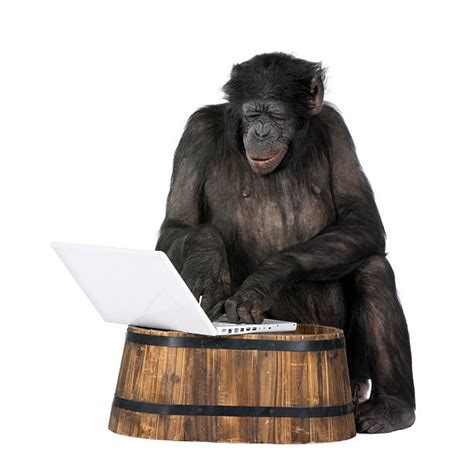 Image result for Happy Monkey Computer