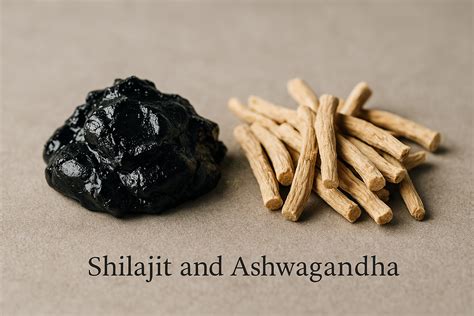 Shilajit And Ashwagandha: Benefits, Comparison & Combined Use