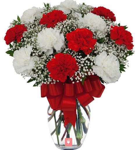 >Buy Carnation Flowers Online | Fresh carnation Bouquets - Withlovenregards