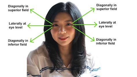 Image result for Visual Fields Test for Peripheral Vision