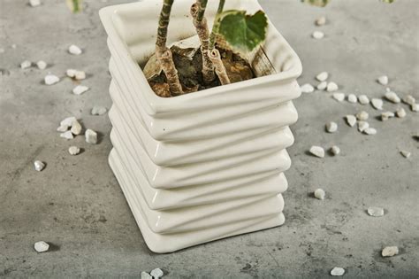 A Tiny Mistake Chevron Ceramic Planter (One Piece)