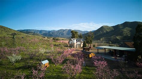 Farming vs Ranching | Differences Between a Farm and A Ranch – Bloom Ranch