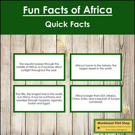 Fun Facts of Africa (color borders) | Made By Teachers