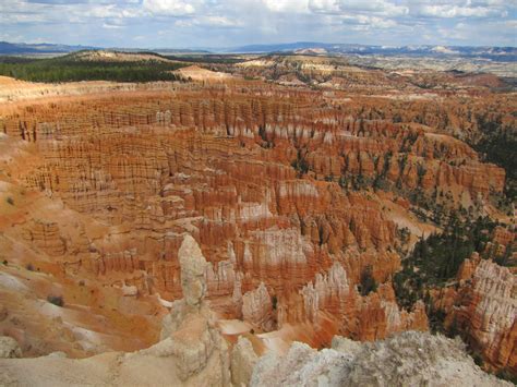 To Behold the Beauty: 2011