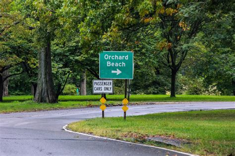 Sanitation to host SAFE Disposal event at Orchard Beach Saturday ...