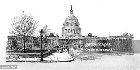 Senate Simple Drawing 的图像结果