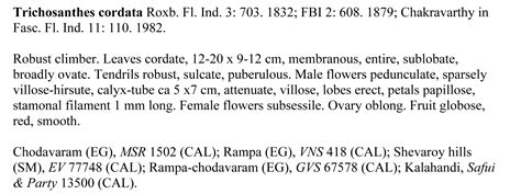 Herbarium JCB