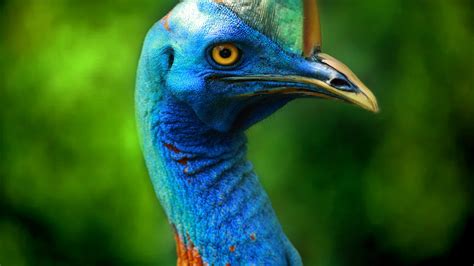 Paradise Islands - Disney+