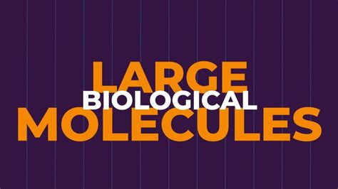 Image result for Biomolecules Explained