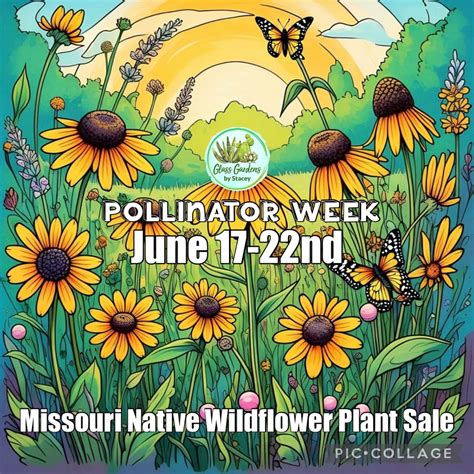 Pollinator Week🐝🌺, Buttheadz, Jackson, 17 June to 22 June | AllEvents