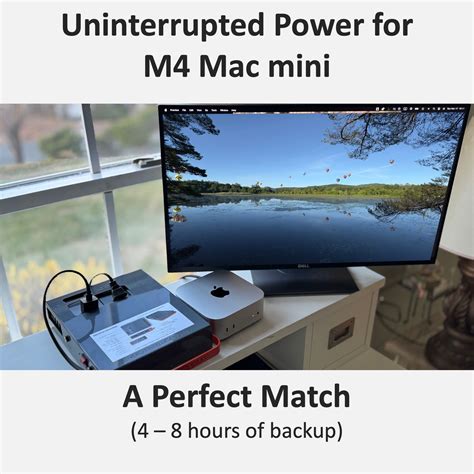 Mac Mini M4 Uninterrupted Power Supply - Energy Intelligence Power Sta ...