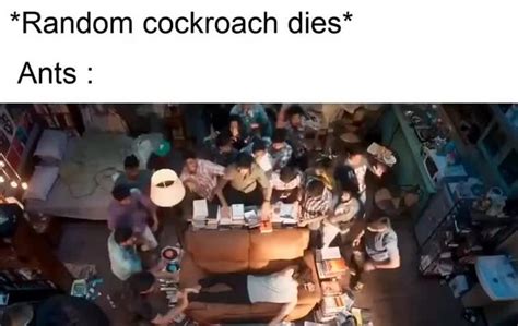 Number 12 Cockroach Meme 的图像结果