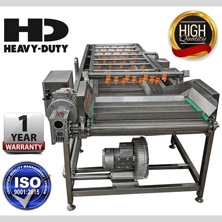 Best fruit and vegetable cleaning cleaner washer washing machine