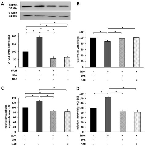 Ethanol-Induced Oxidative Stress Modifies Inflammation and Angiogenesis ...