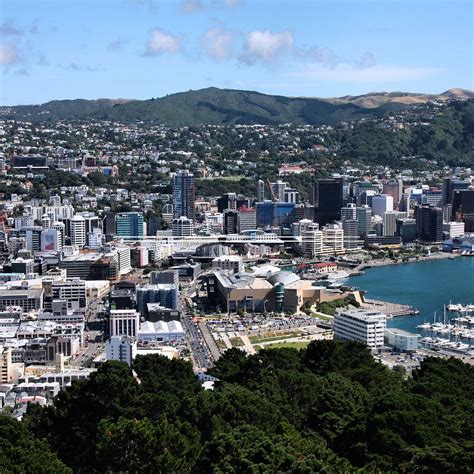 Guydeez Wellington (New Zealand): Address, Phone Number, - Tripadvisor