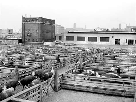 The Sordid History of U.S. Food Safety Highlights the Importance of ...