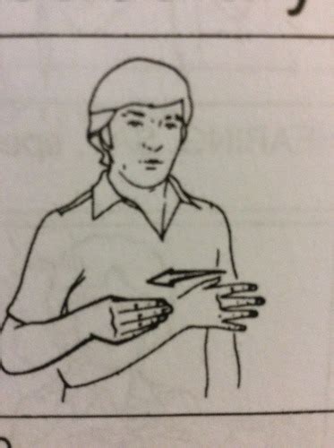 American Sign Language 101 的图像结果