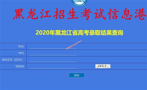 2020年黑龙江高考录取结果查询（龙招港）_黑龙江录取查询_一品高考网