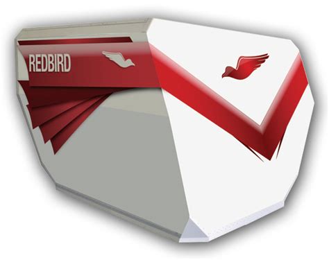 Image result for Redbird Simulator Review