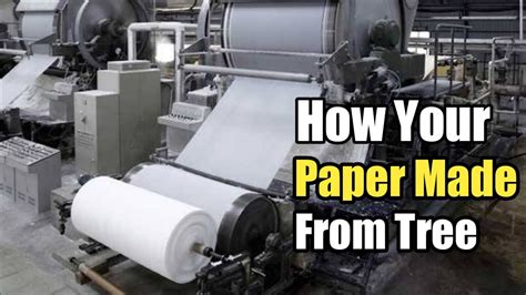 Image result for How They Make Paper