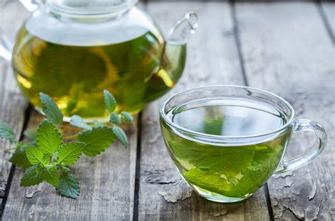 Oregano Tea Benefits