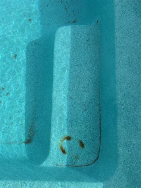 Image result for Rust Pool