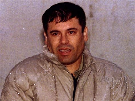 Rise of Mexican drug lord 'El Chapo' - Business Insider