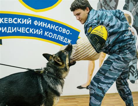 Обучение на специальность Кинология в Ижевске в колледже | ИФЮК