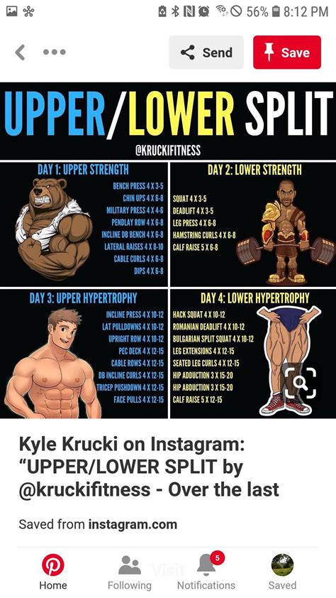 Workout Routine 的图像结果