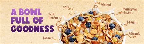 Manna Go Grains Crunchies, Real Blueberry. Multigrain Breakfast Cereal ...