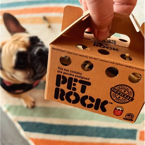 Tim’s Chrome Bar (@timschromebar) • Instagram photos and videos