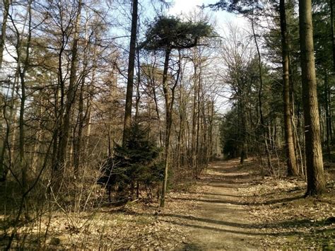 Bas Langereis leest u voor! » 2016 » maart