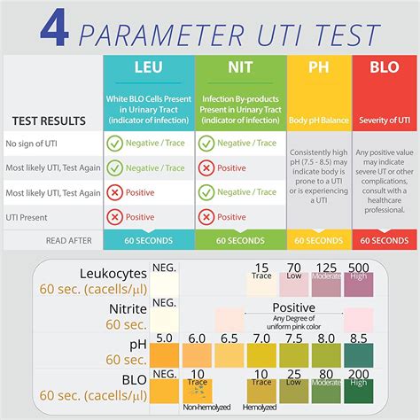 Urine PH (Normal PH Levels, Range, Chart) Causes Of, 59% OFF