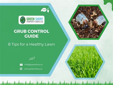 Grub Control Guide - 8 Tips for a Healthy Lawn by Green Shiny