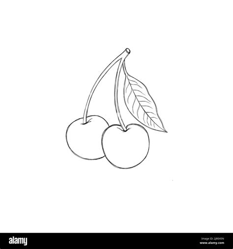 Image result for Task Model Jackson Cherry