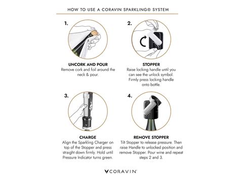 https://cdn.shopify.com/s/files/1/0560/7754/9662/files/How-to-use-Coravin-Sparkling-Infographic.png?v=1713352368