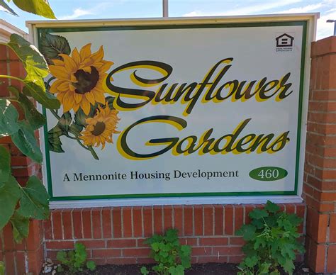 Sunflower Gardens in Valley Center, Kansas
