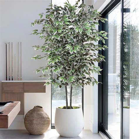 Amazon.com: Roselywed Artificial Ficus Tree 7FT Tall Faux Floor Plant ...