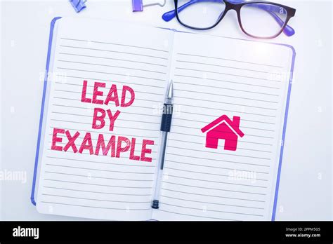 Follow the Example 的图像结果