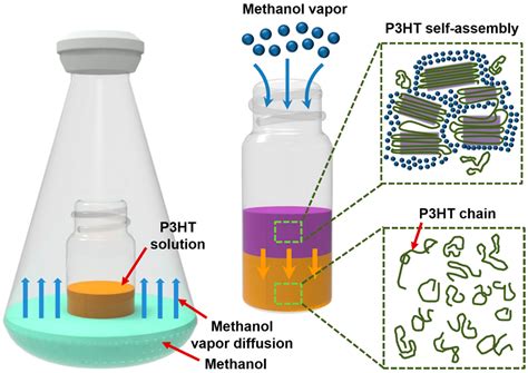 Controlled Self-Assembly of Conjugated Polymers via a Solvent Vapor Pre ...