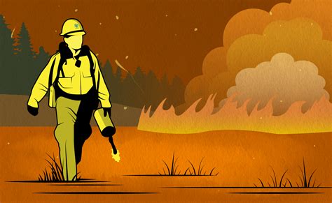 Image result for SCA Fire Protection