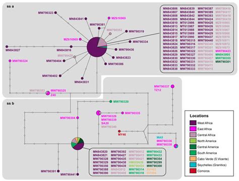 Aliens on Boats? The Eastern and Western Expansion of the African House ...