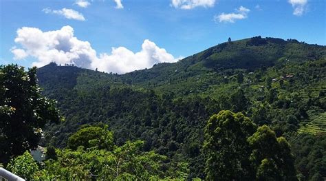 ACON RESORTS - Hotel Reviews, Photos, Rate Comparison (Kodaikanal ...