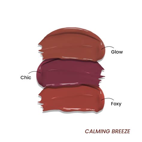 Lip Drip Gloss Stick - Combo of 3 – La Mior