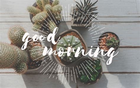 Guten morgen donnerstag Bilder - Kostenloser Download auf Freepik