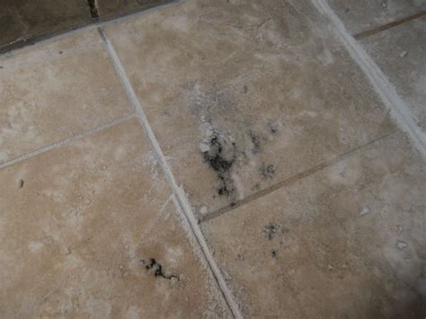 Black Mold Bathroom Tile