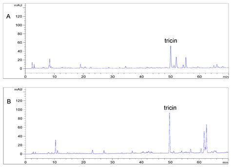 Isolation of Tricin as a Xanthine Oxidase Inhibitor from Sweet White ...