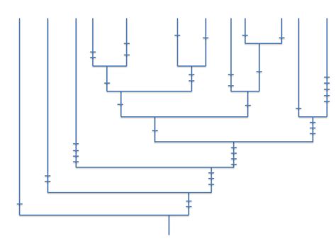 Animal Phyla Diagram | Quizlet